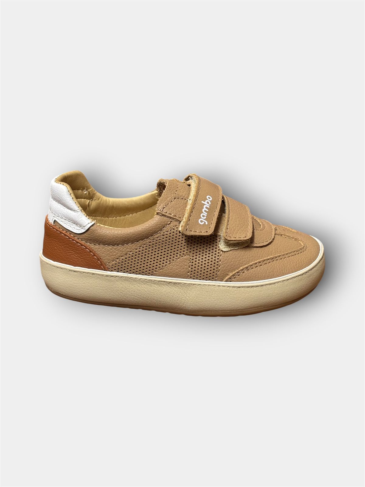 GAMBO TENIS